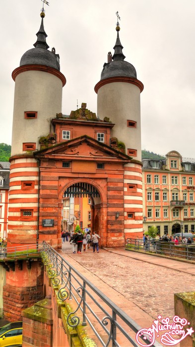 ทริปยลทิวลิป : วันที่ 4-2 : Heidelberg – Cologne, Germany